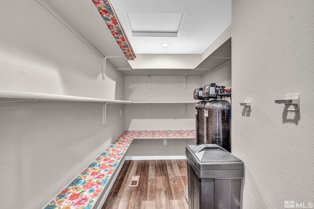 walk in closet featuring wood-type flooring and a raised ceiling