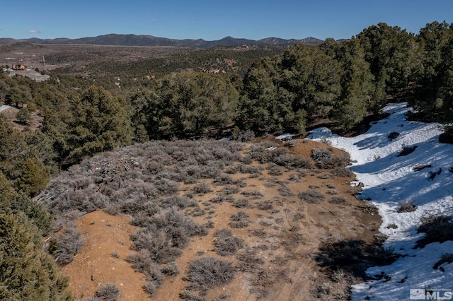 2185 Hermit Rd, Virginia City NV, 89521 land for sale