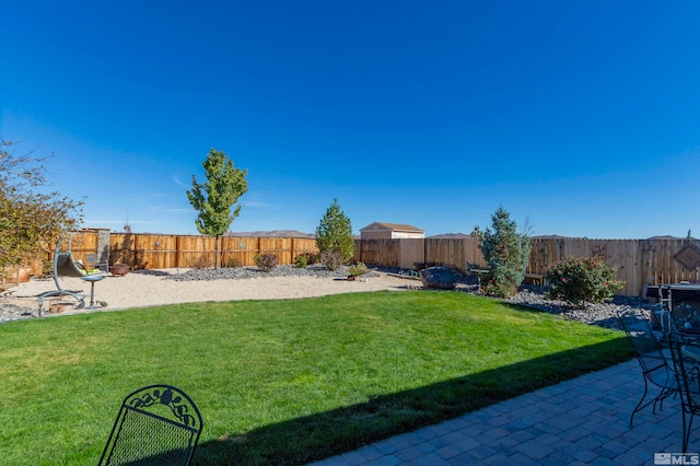 view of yard featuring a patio area