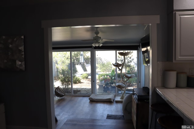 interior space with hardwood / wood-style floors and ceiling fan