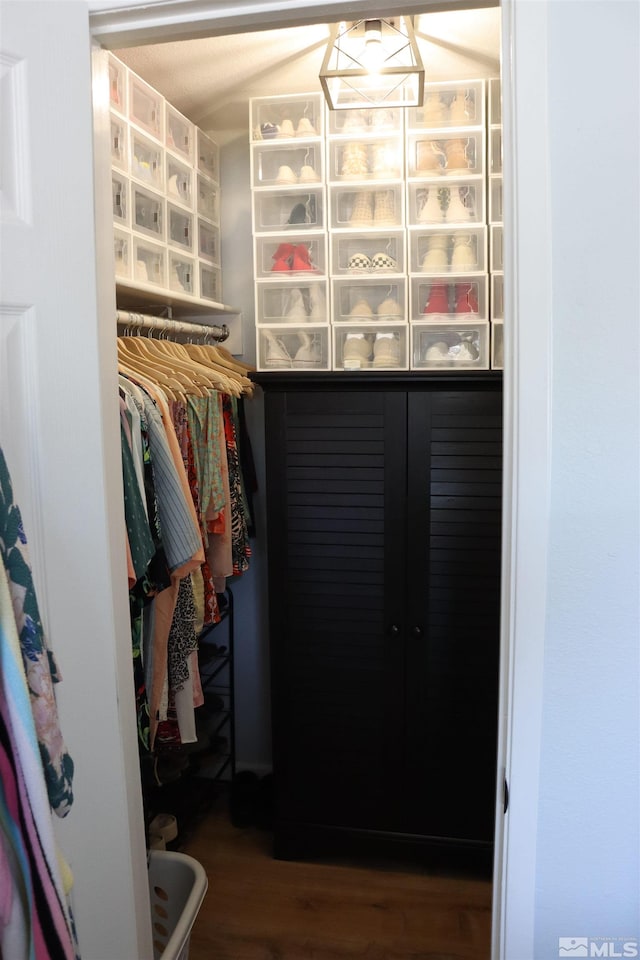 view of closet