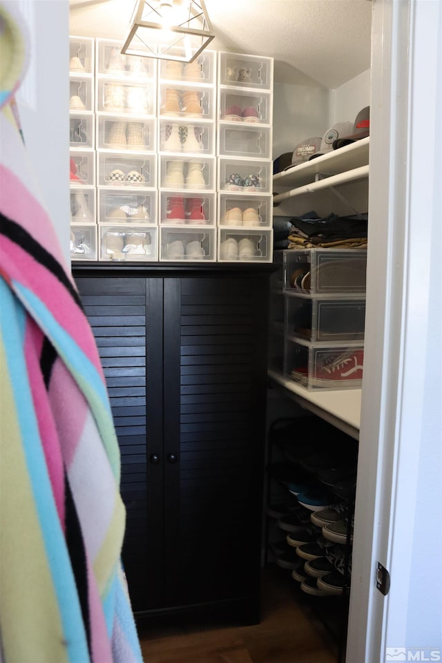 spacious closet featuring hardwood / wood-style floors