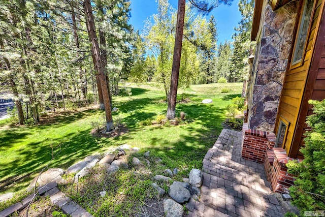 view of yard featuring a patio area