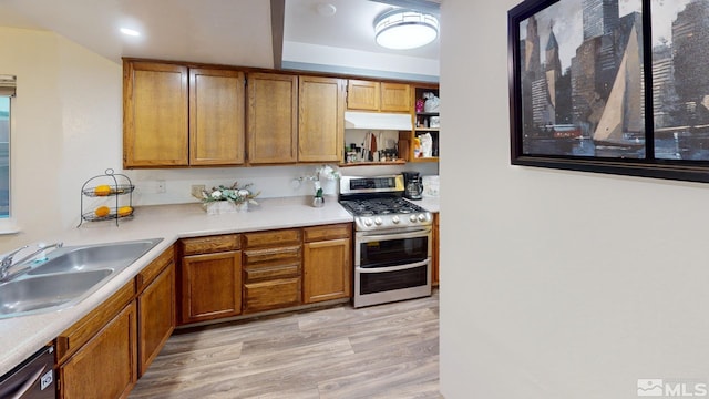 kitchen with sink, light hardwood / wood-style flooring, and stainless steel appliances