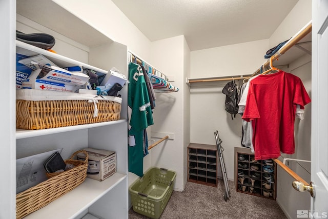 walk in closet featuring carpet floors