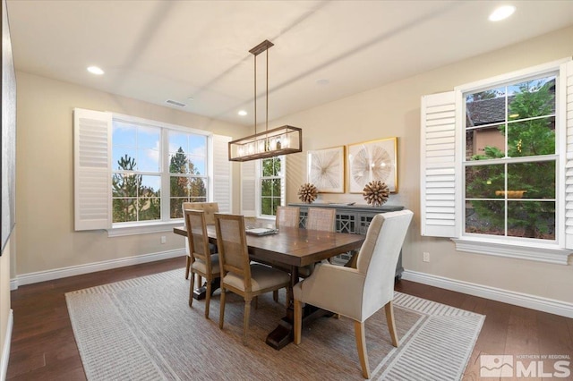 dining room with dark hardwood / wood-style floors and a wealth of natural light