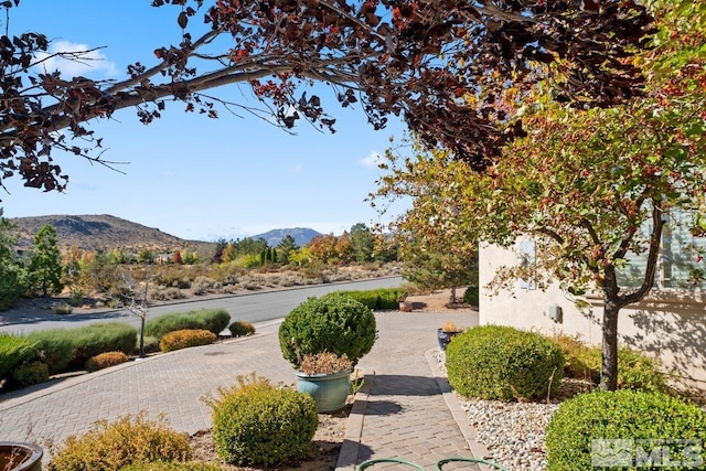 view of yard featuring a mountain view