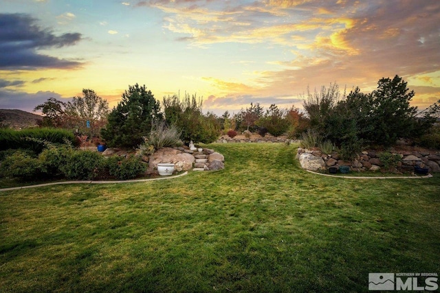 view of yard at dusk