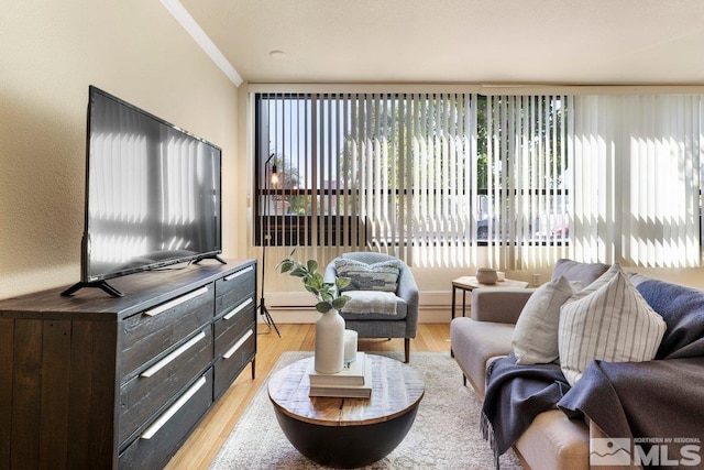 living room with light hardwood / wood-style floors, a healthy amount of sunlight, and ornamental molding