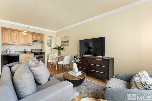 living room with light hardwood / wood-style floors, ornamental molding, and sink