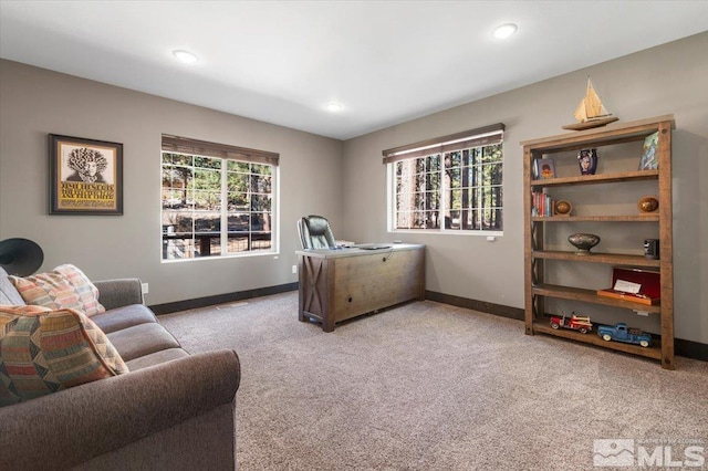 view of carpeted home office