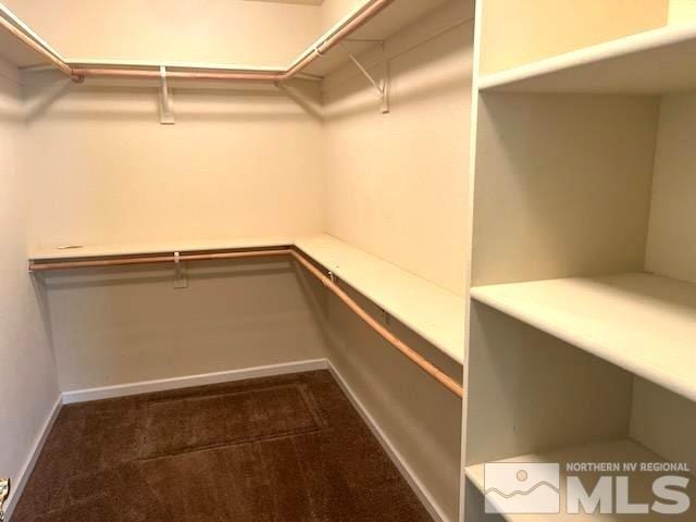 walk in closet featuring carpet flooring