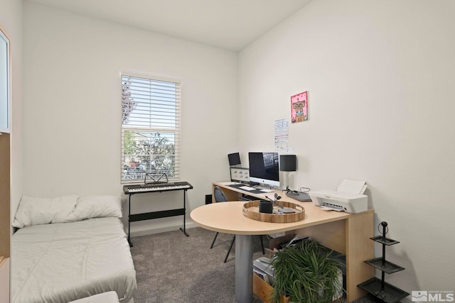 office area featuring carpet floors