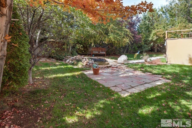 view of yard featuring a patio