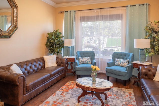 living room with ornamental molding and dark hardwood / wood-style floors