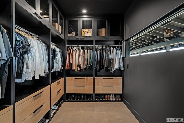 view of spacious closet