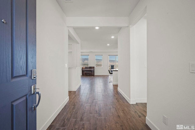 entryway with dark hardwood / wood-style flooring