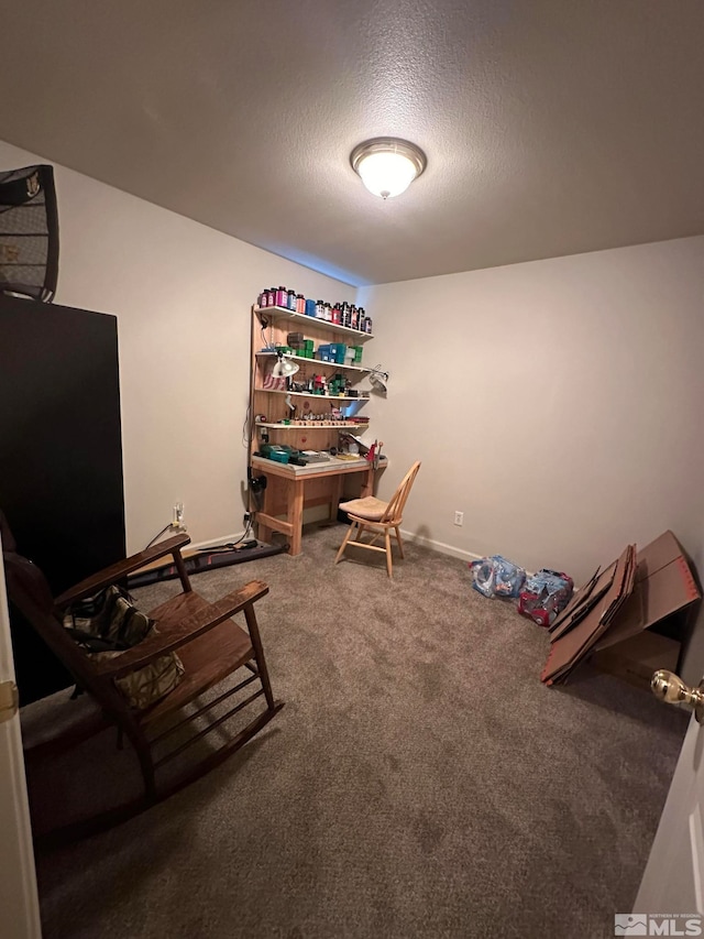 interior space with a textured ceiling and carpet floors