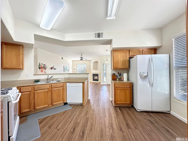 kitchen with ceiling fan, sink, hanging light fixtures, white appliances, and light wood-type flooring