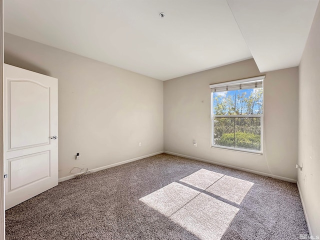 empty room featuring carpet floors