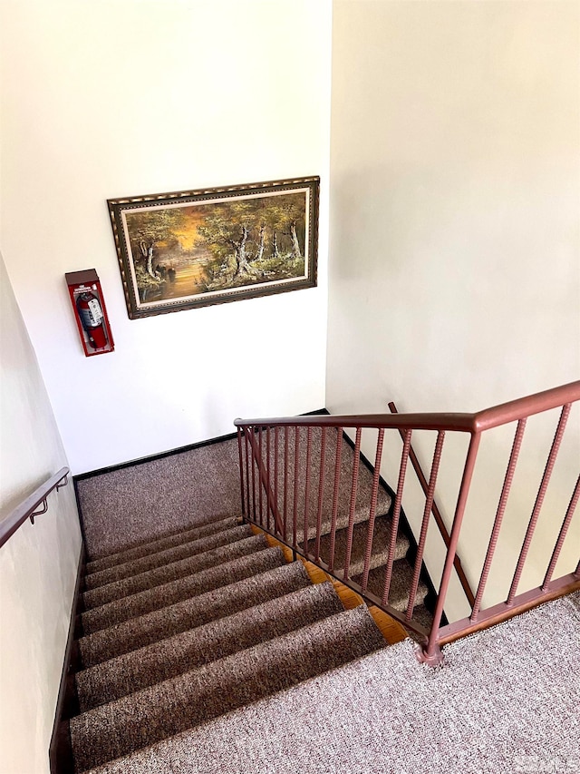 stairway with carpet flooring