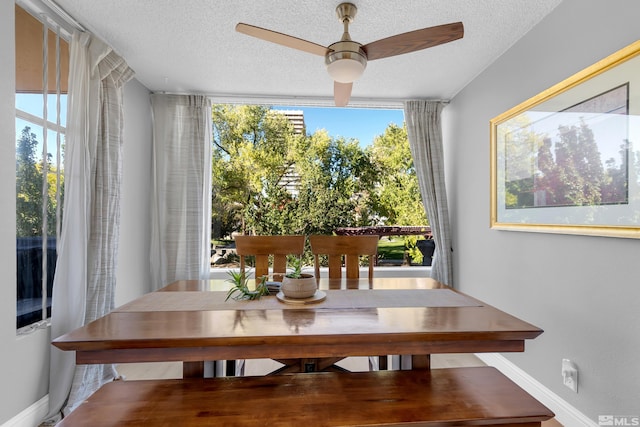 dining space with a healthy amount of sunlight, a textured ceiling, and ceiling fan
