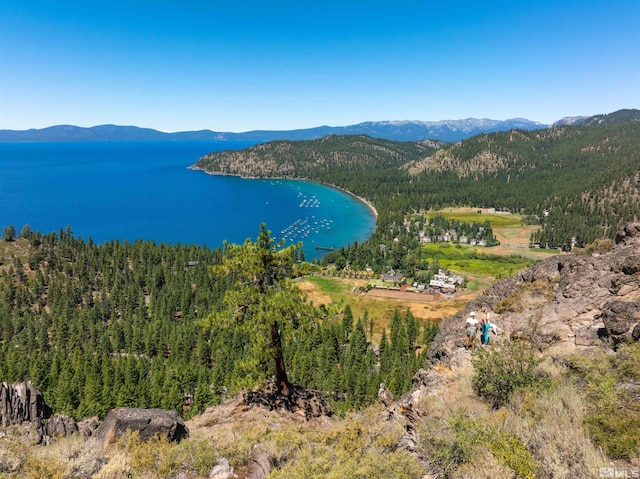 drone / aerial view featuring a water and mountain view