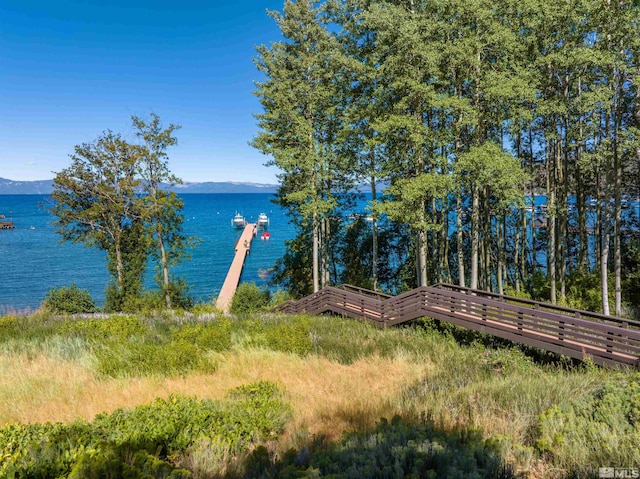 water view featuring a mountain view