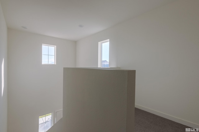 interior details featuring carpet floors