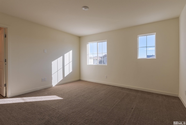 empty room featuring carpet and a wealth of natural light