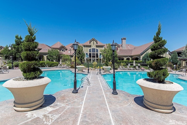 view of swimming pool featuring a patio area