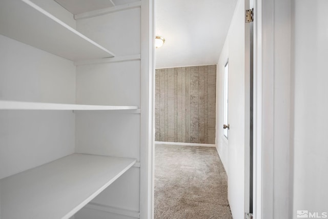 spacious closet with carpet