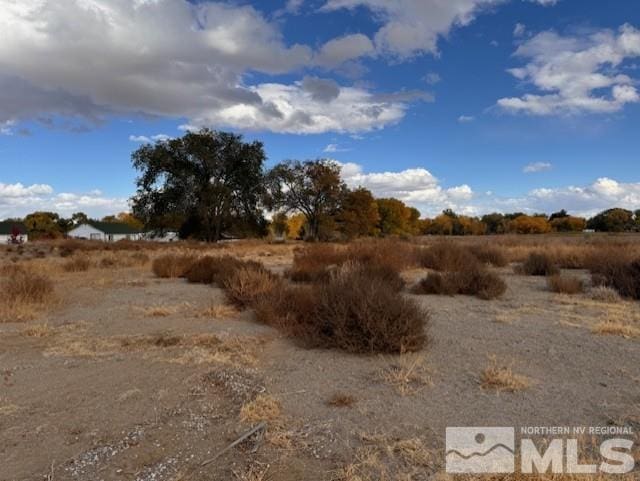 785 Wetland, Fallon NV, 89406 land for sale