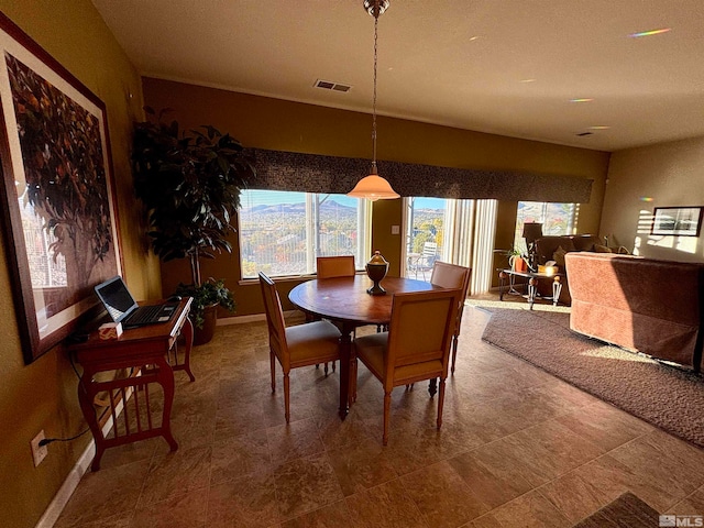 dining room with a wealth of natural light