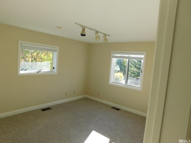 spare room featuring light colored carpet, track lighting, and plenty of natural light