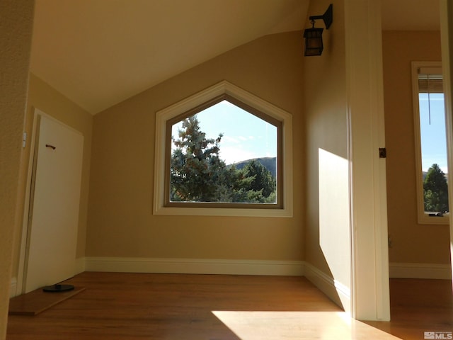 additional living space featuring hardwood / wood-style flooring and vaulted ceiling