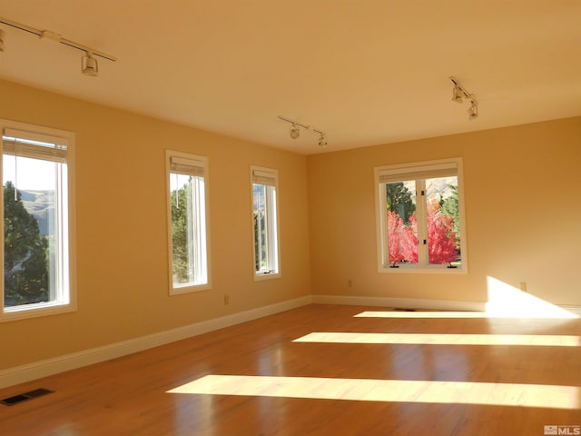 empty room featuring a healthy amount of sunlight, hardwood / wood-style floors, and rail lighting