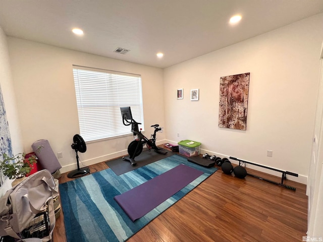 workout area featuring wood-type flooring