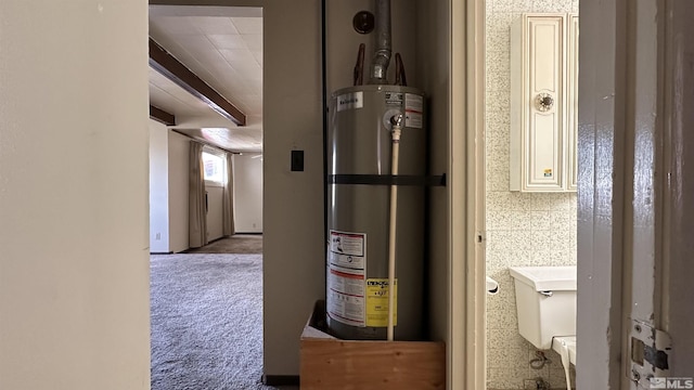 utility room with water heater