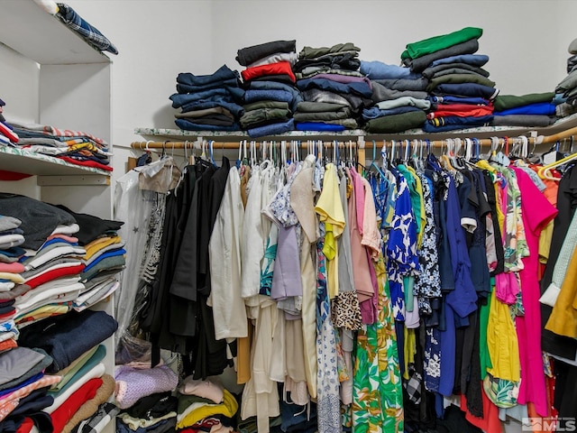 view of walk in closet