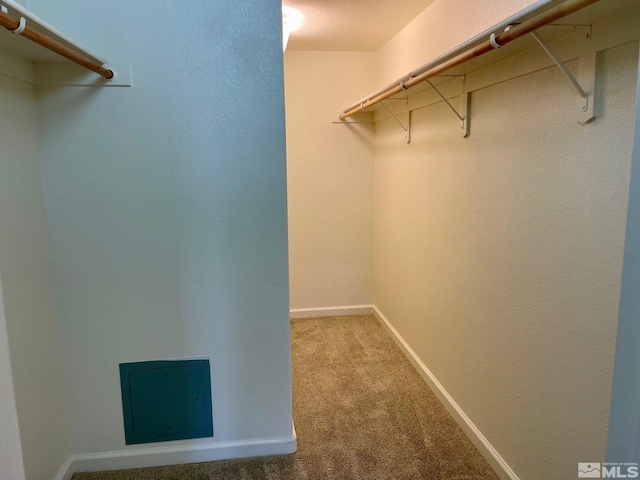 spacious closet with carpet