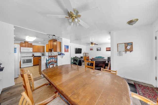 dining space featuring light hardwood / wood-style flooring, rail lighting, sink, and ceiling fan