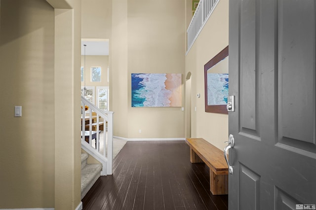 entryway featuring dark wood-type flooring