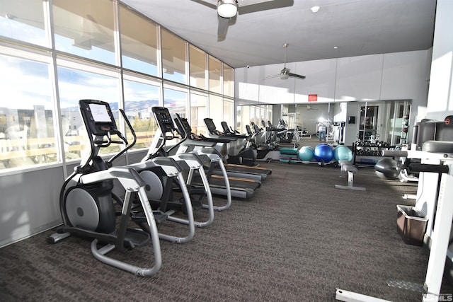 exercise room featuring ceiling fan