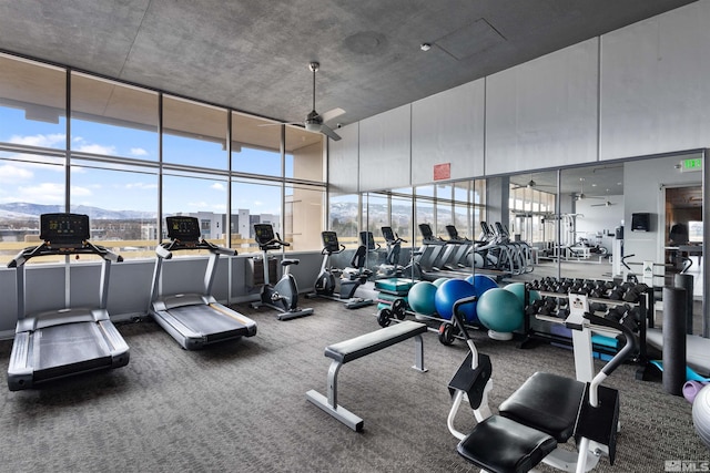 workout area with ceiling fan, a high ceiling, expansive windows, and carpet floors