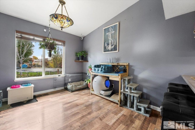 miscellaneous room with hardwood / wood-style floors and vaulted ceiling