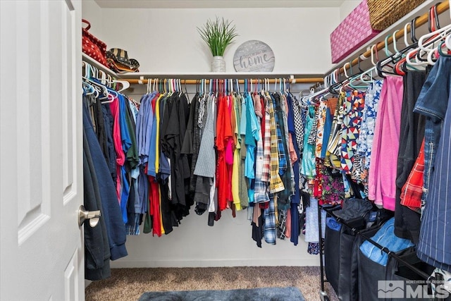 spacious closet with carpet flooring