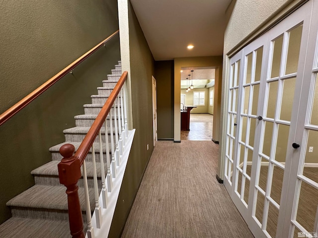 staircase featuring carpet floors