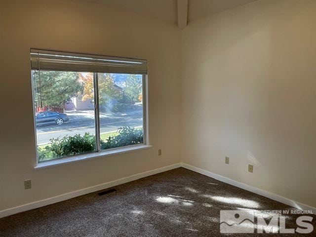 spare room with carpet flooring and a wealth of natural light