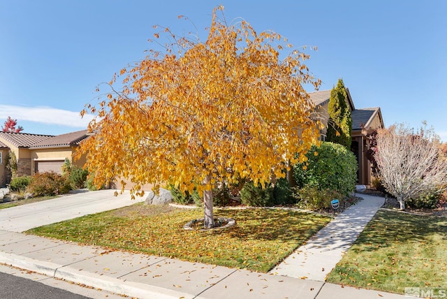 view of property hidden behind natural elements with a garage and a front yard